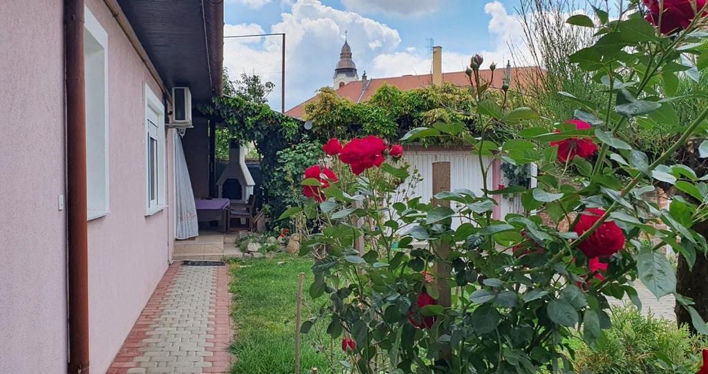 Apartman Ksenija Dakovo Exterior photo